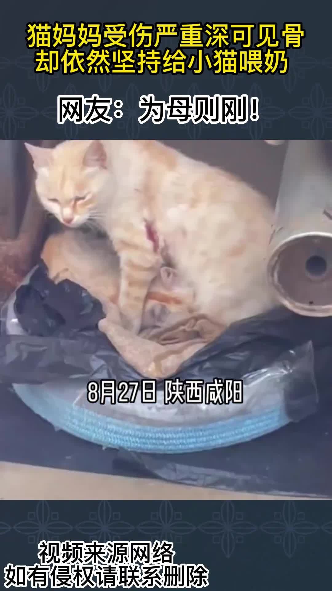地方新闻 第419页