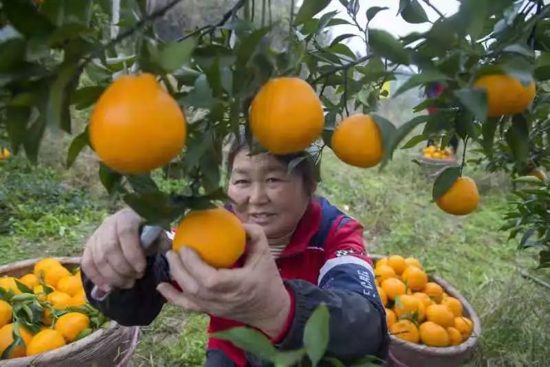 2025年4月 第844页