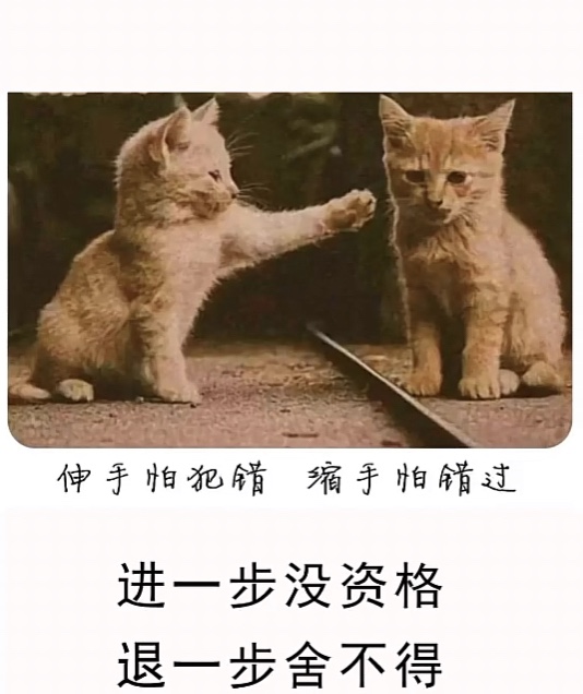 港澳新闻 第275页