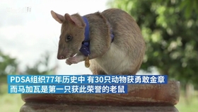 2025年4月 第626页