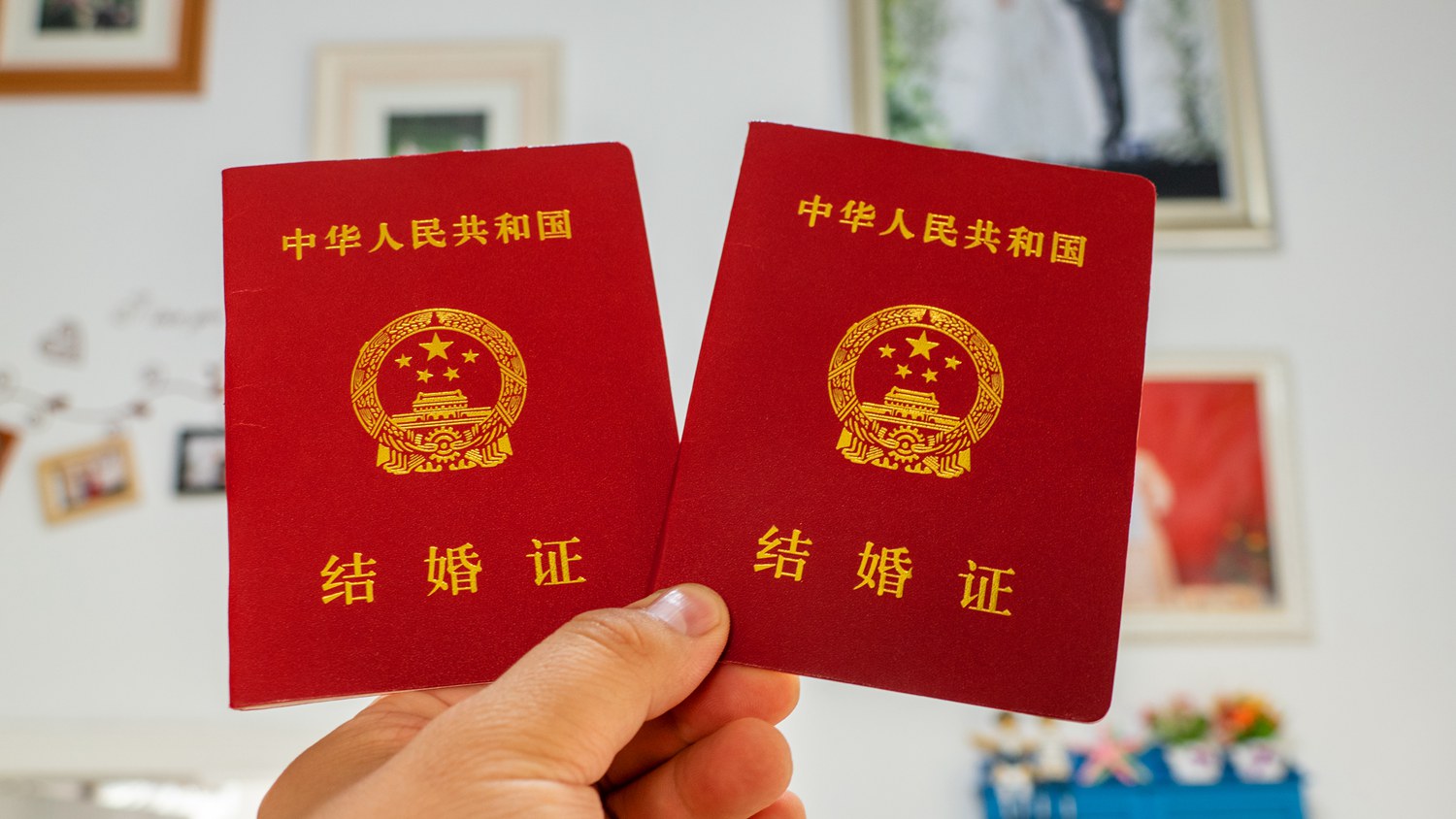 游戏专题 第267页