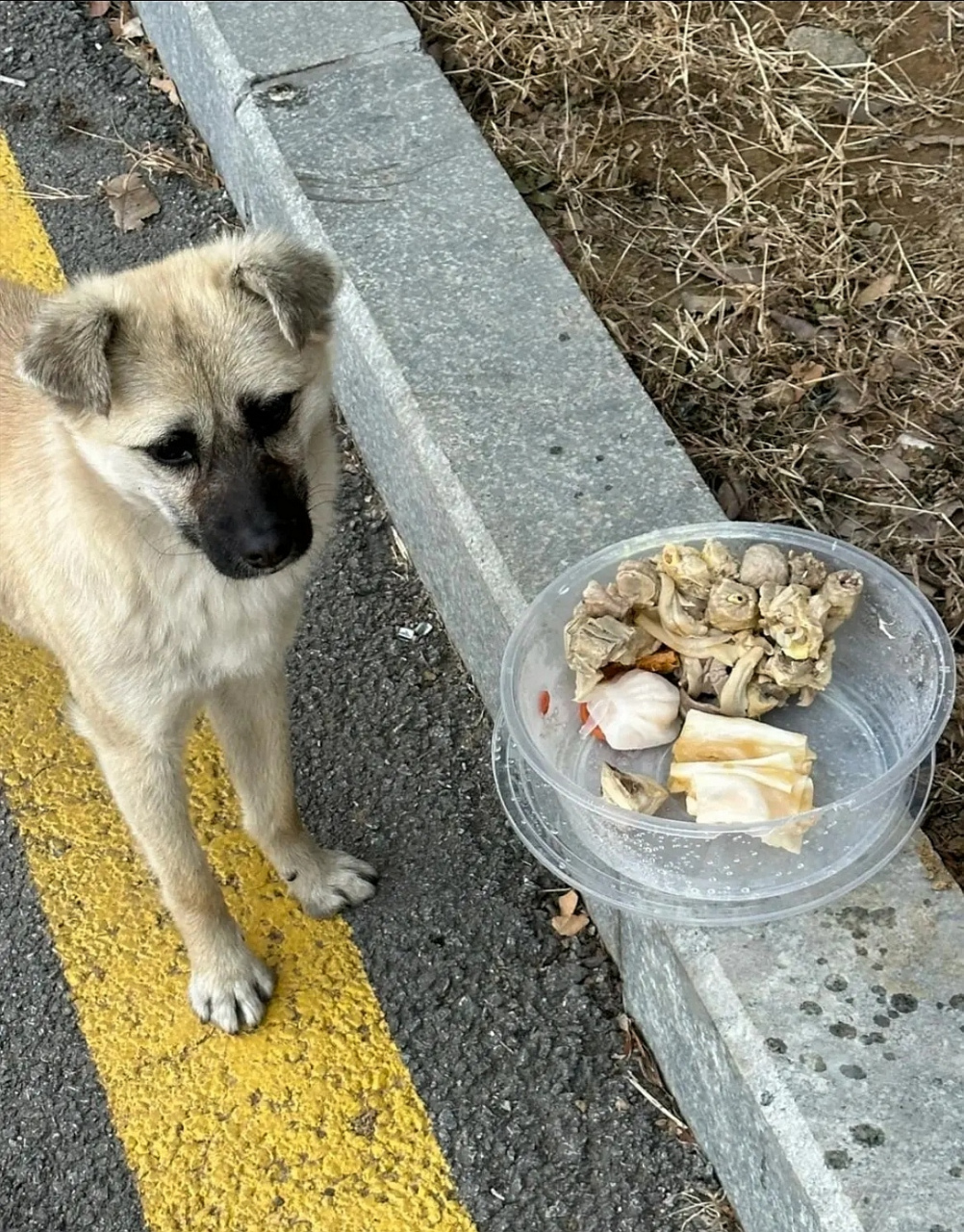 笑看风云   第2页