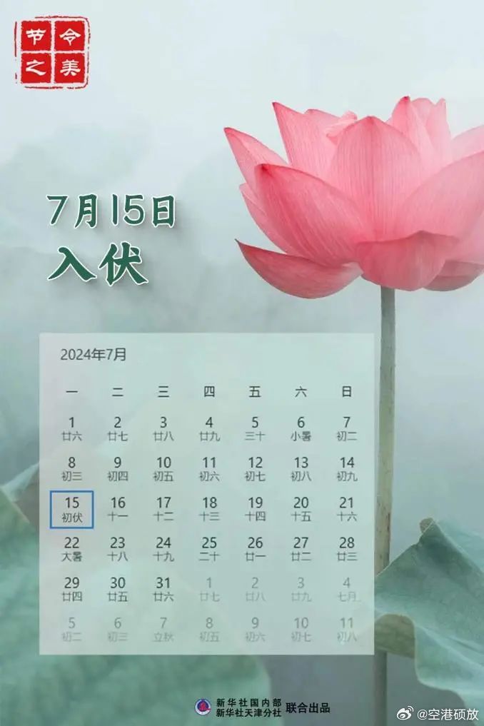 第586页