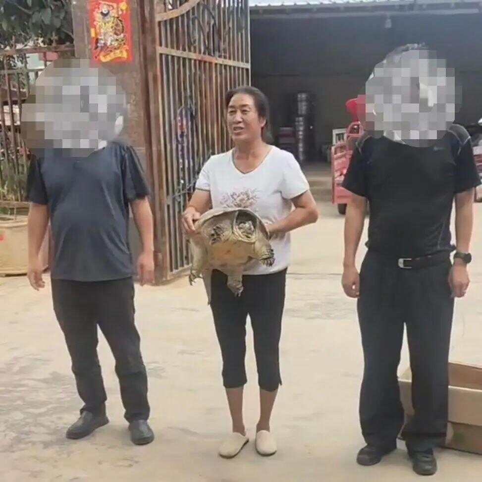 娱乐生活 第51页