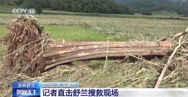 最新资讯 第2页