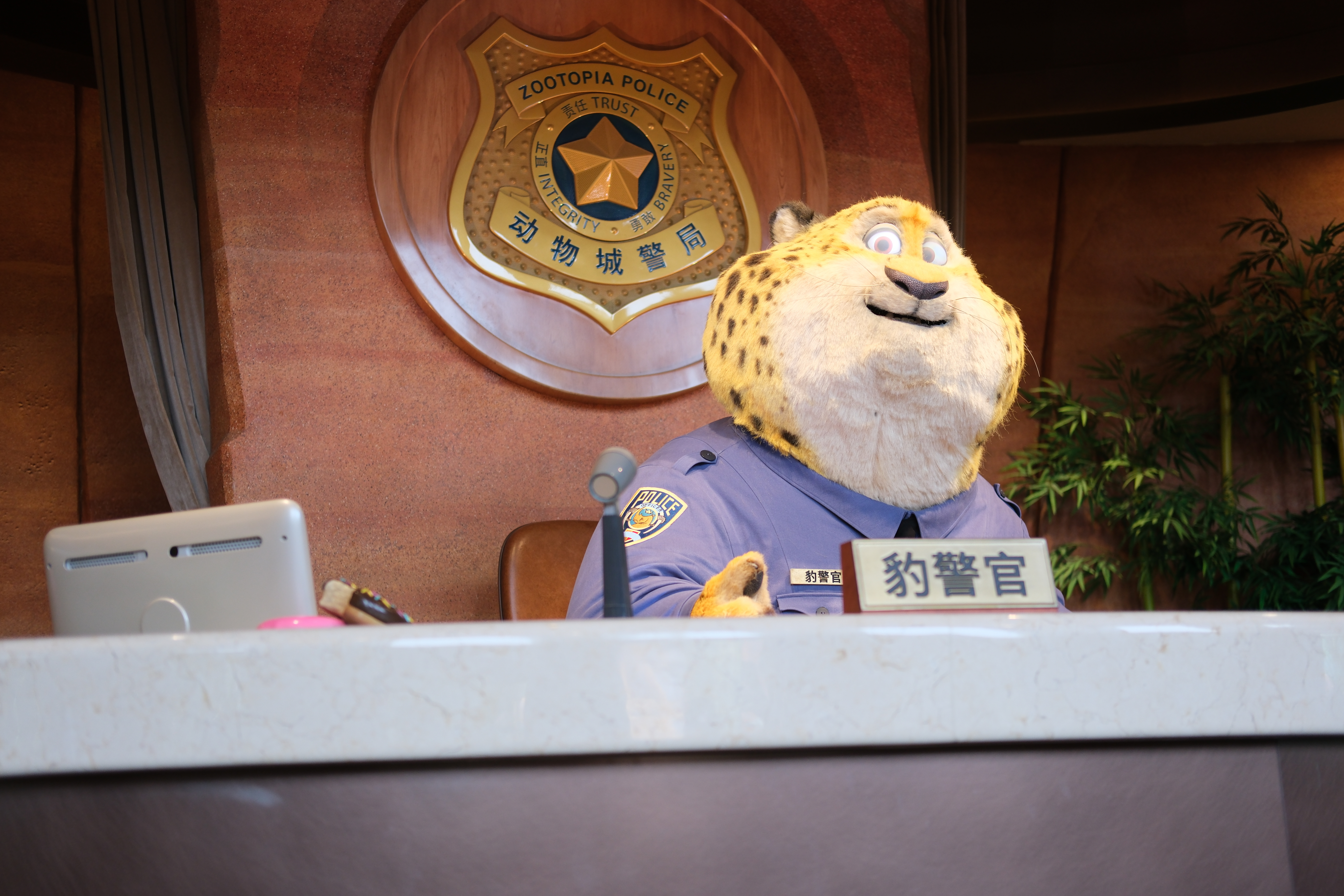第2242页