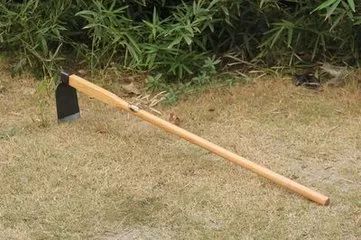 最新资讯 第358页