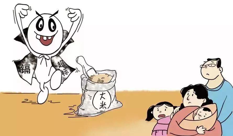 2025年5月2日 第13页