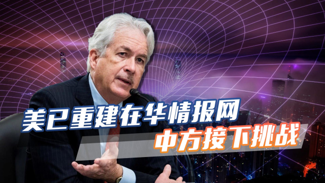 2025年5月4日 第17页