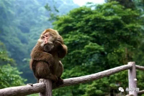2025年5月5日 第27页