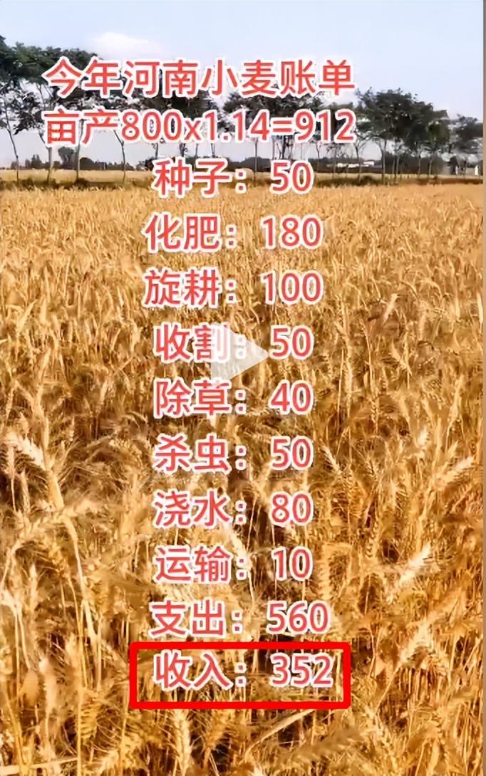 2025年5月8日 第27页