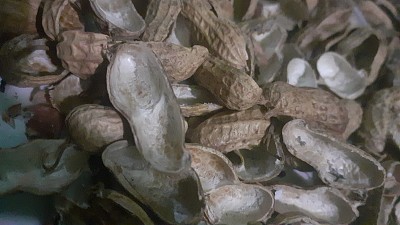 热点生活